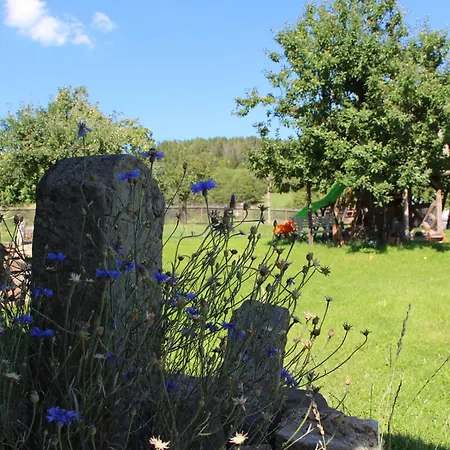 Zur Alten Schmiede Mit Museum *