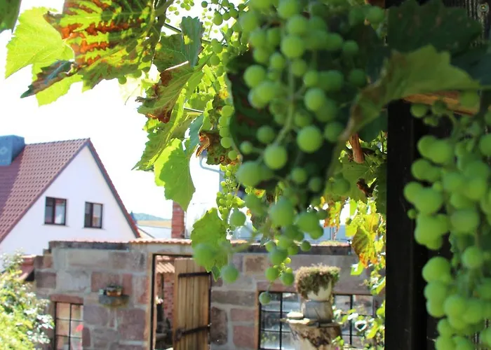 Zur Alten Schmiede Mit Museum 公寓 Ruestungen