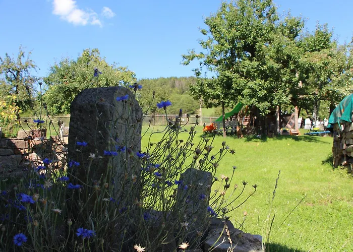 Zur Alten Schmiede Mit Museum *