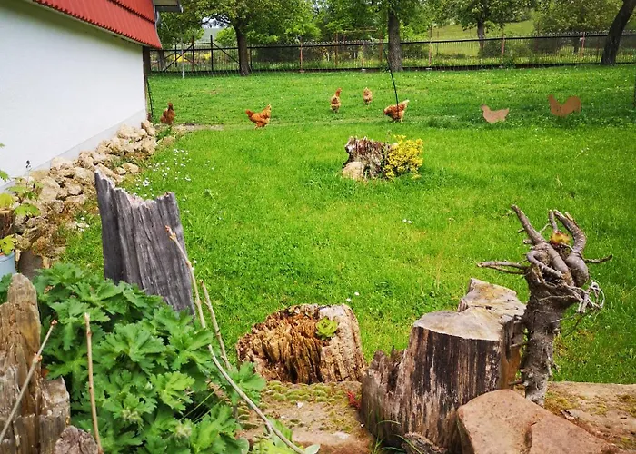 Zur Alten Schmiede Mit Museum Appartement