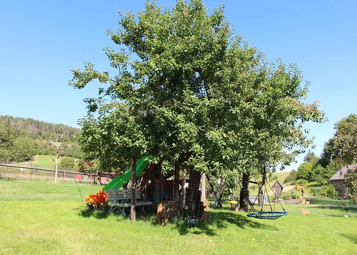 公寓 Zur Alten Schmiede Mit Museum *