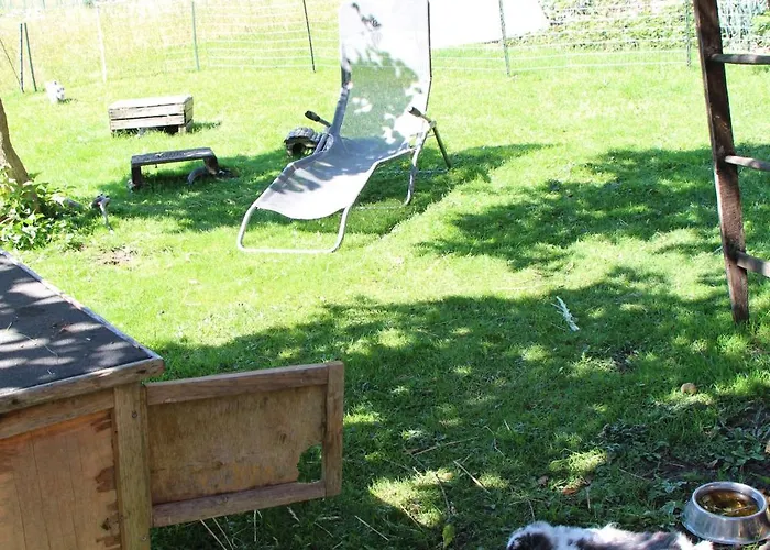 Appartement Zur Alten Schmiede Mit Museum